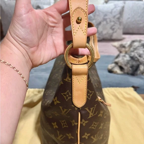 Louis Vuitton Delightful GM - Picture 6 of 16